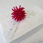 Apartamentos Eleden Toledo